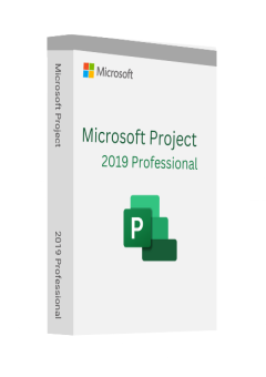 Microsoft Project 2019 Professional